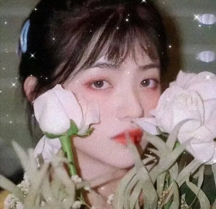 河马复仇记