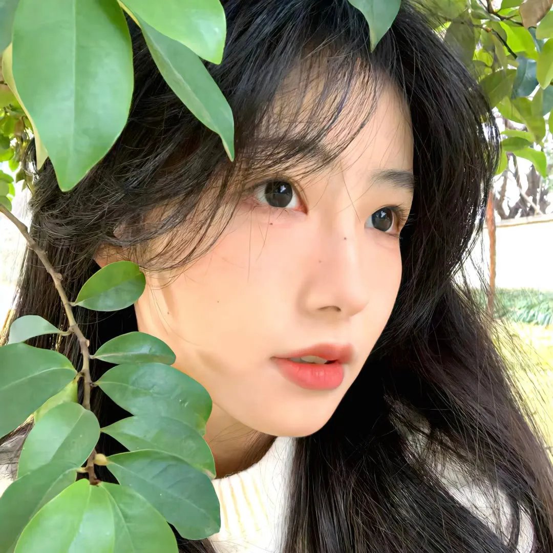 狗牙