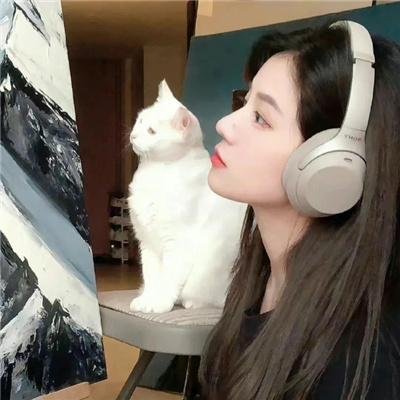 二八佳人花公子